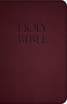 NABRE - New American Bible Revised Edition Red Premium Ultrasoft