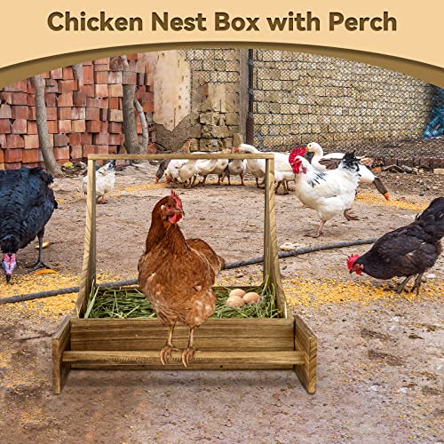 Gindoor Chicken Nesting Boxes, Single Compartment Hens Nest Box, Wood Chicken Coop Nesting Boxes, Wall Mount Laying Nest Boxe With Perch For Hens, Ducks, Poultry #TOP6