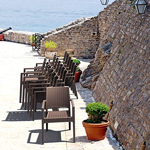 Compamia Ibiza Resin Wickerlook Patio Dining Arm Chair In Brown (Set Of 2) #TOP3