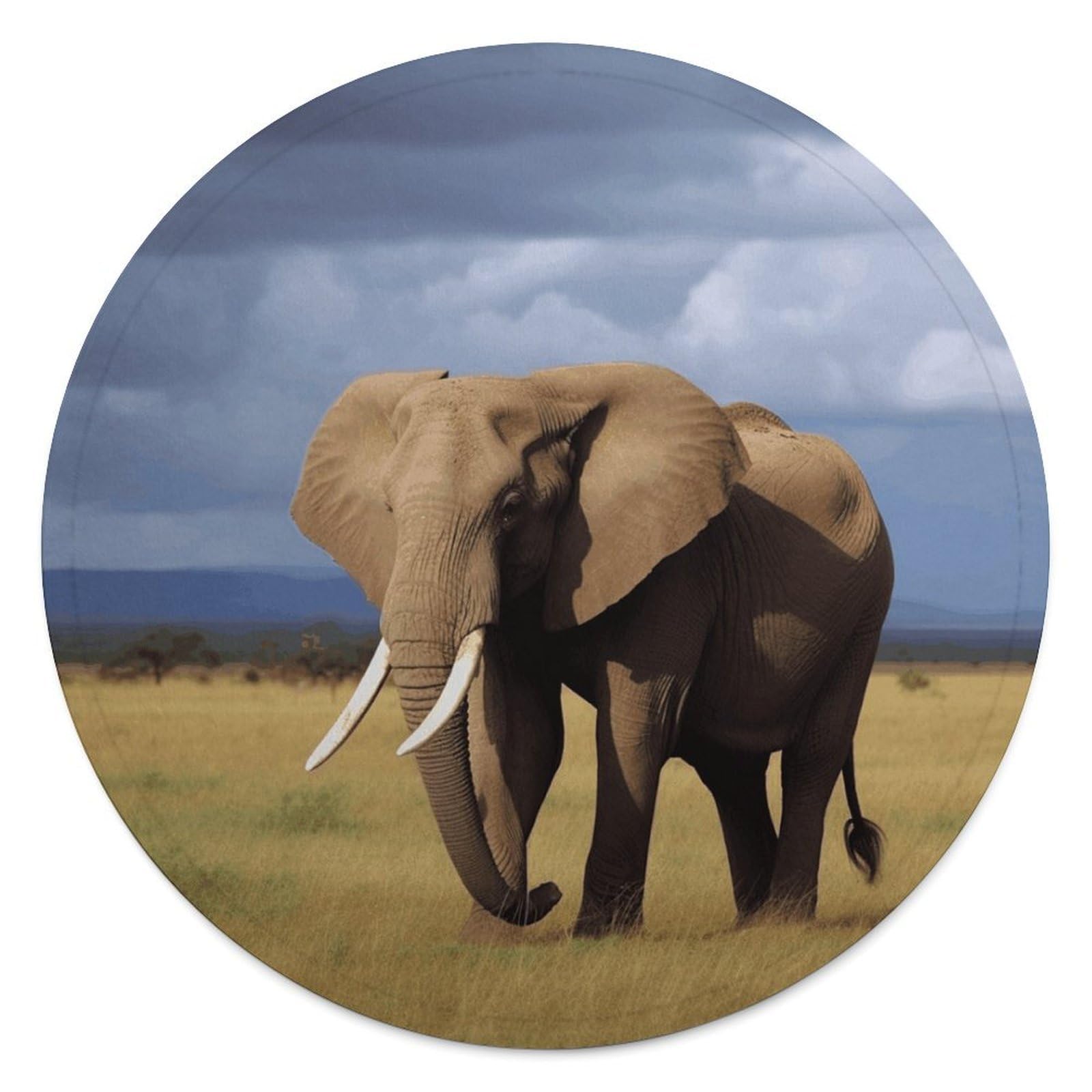 Africa Grassland Elephant Blanket Novelty Round Tapestry Super Soft Flannel Mom Blanket Cozy Beach Throw Tapestry Lightweight Thick Throw Blankets for All Seasons Diameter 59.1 in