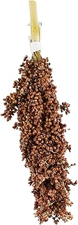 JR FARM Birds Dari Flask 100g product image