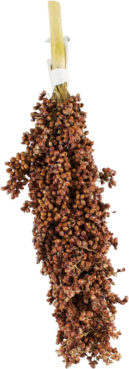 JR FARM Birds kolba dari 100 g