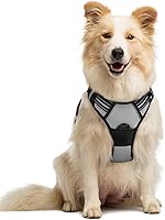 Vista 66 de rabbitgoo Arnés para perro, arnés sin tirones para mascotas con 2 clips para correa, chaleco acolchado suave ajustable para perro, chaleco Oxford
