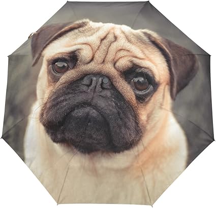 pug umbrella