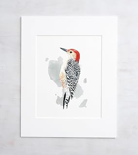 Red-Bellied Woodpecker Poster Watercolor Bird Painting, Wall Art Photo Print Red-Bellied Woodpecker Print Watercolor Bird Photo, Wall Decor Painting Poster,60