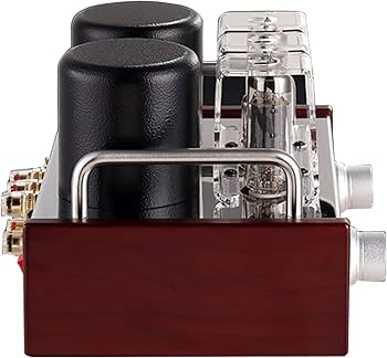 Amazon.co.jp: 6P14 / EL84 / A2 真空管アンプ シングルエンド クラスA Amazon.co.jp: 6P14 / EL84 / A2 真空管アンプ シングルエンド クラスA