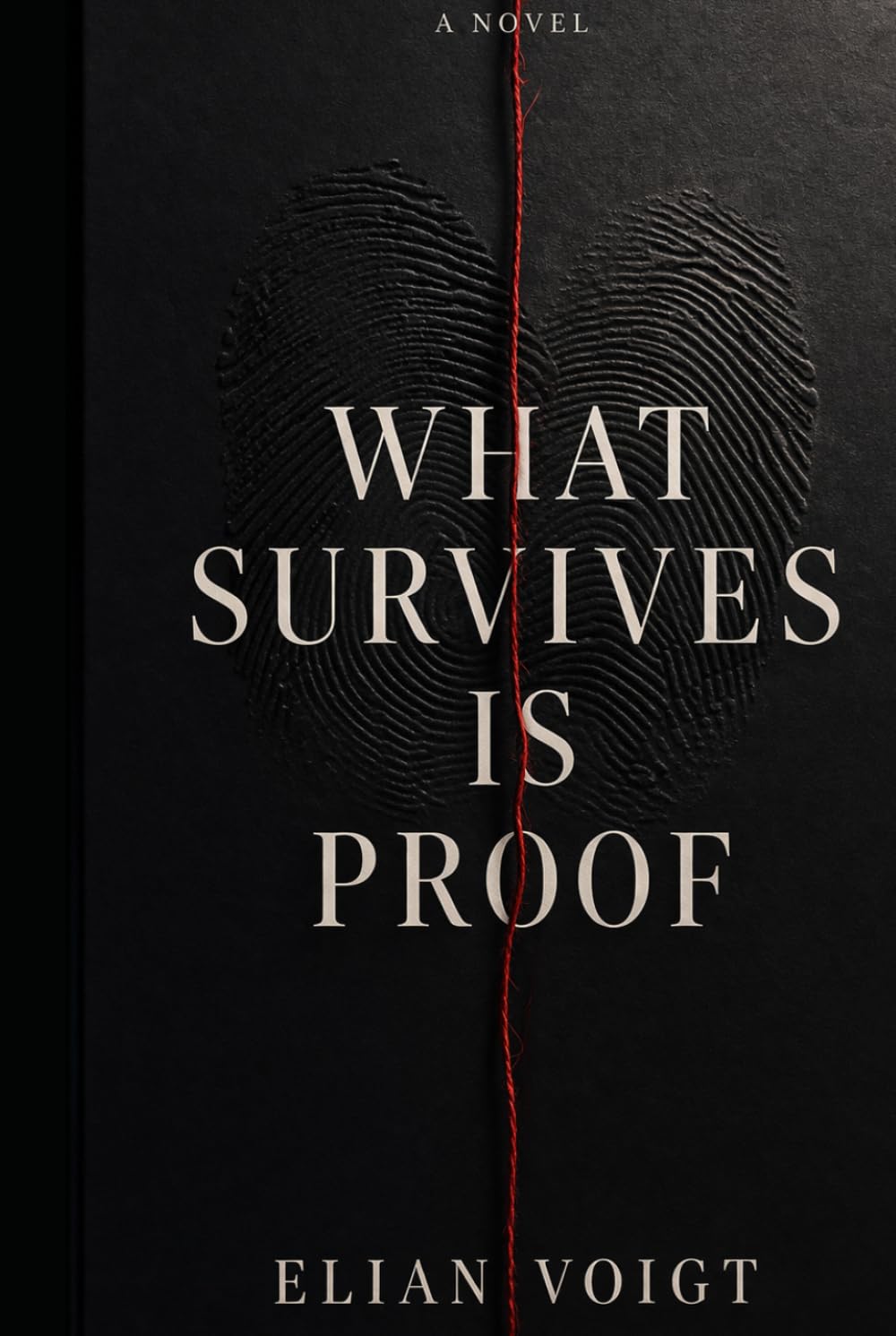 What Survives Is Proof: A Novel