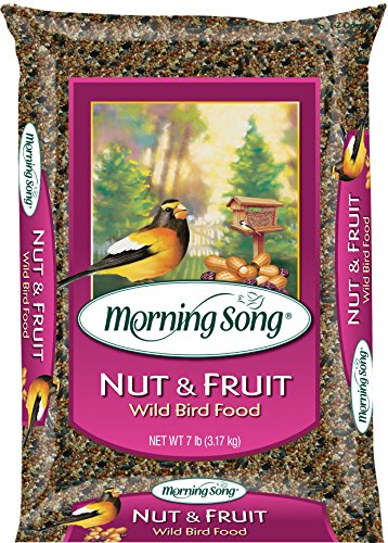 Morning Song 11988 Nut and Fruit Wild Bird Food, 15-Pound