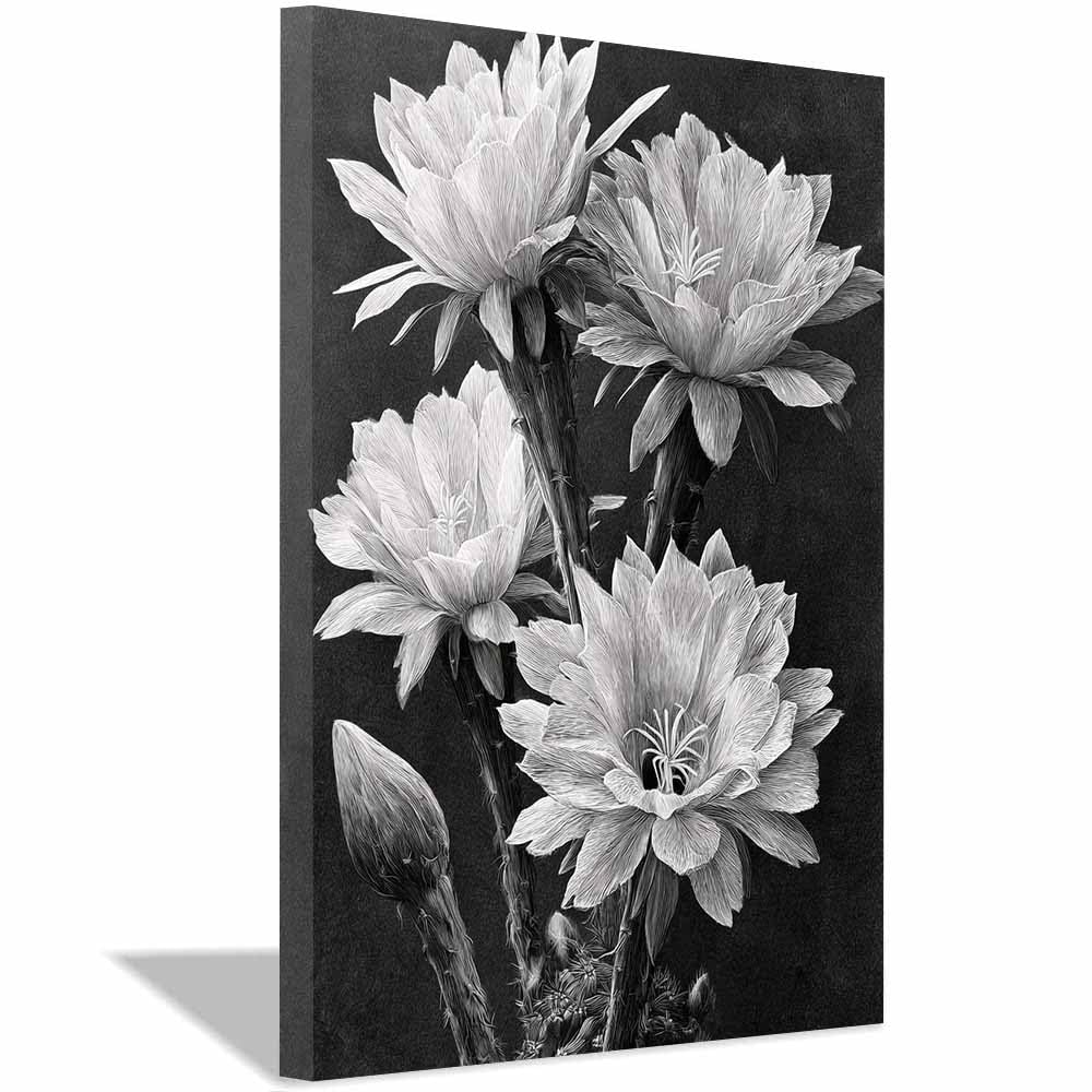 HOQIU Black And White Prints Monochrome Cactus Flower canvas wall art, painting and decor, for Living Room Bedroom Home Decoration(Multicolor)-40x60cm Framed
