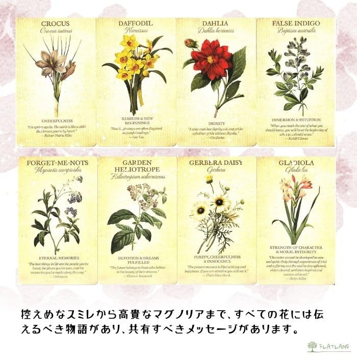 【正規品オラクルカード】希少デッキ✨アトランティスカード インスプレーション Amazon.co.jp: 【日本語解説書付き】ボタニカル インスピレーション