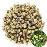 TooGet Traditional Health Herbs, Chrysanthemum Buds, Tai Ju, Natural Premium Golden Fetal Chrysanthe