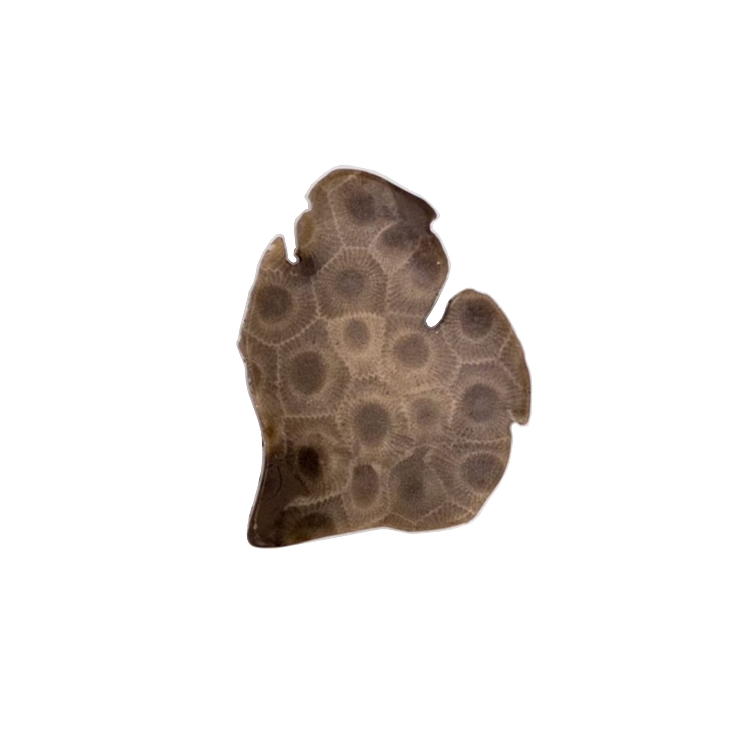 Michigan Shaped Petoskey Stone Magnet (Large)