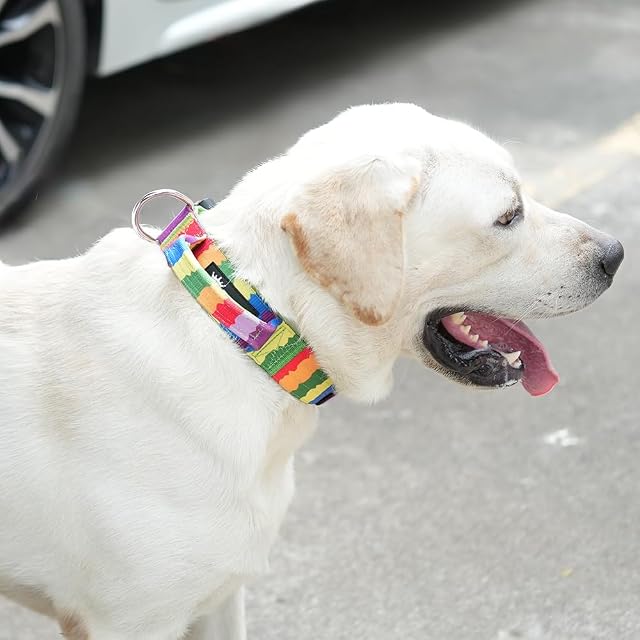 Foto 6 de 6 de TSPRO Collar Táctico para Perros con Hebilla de Liberación Rápida y Manija