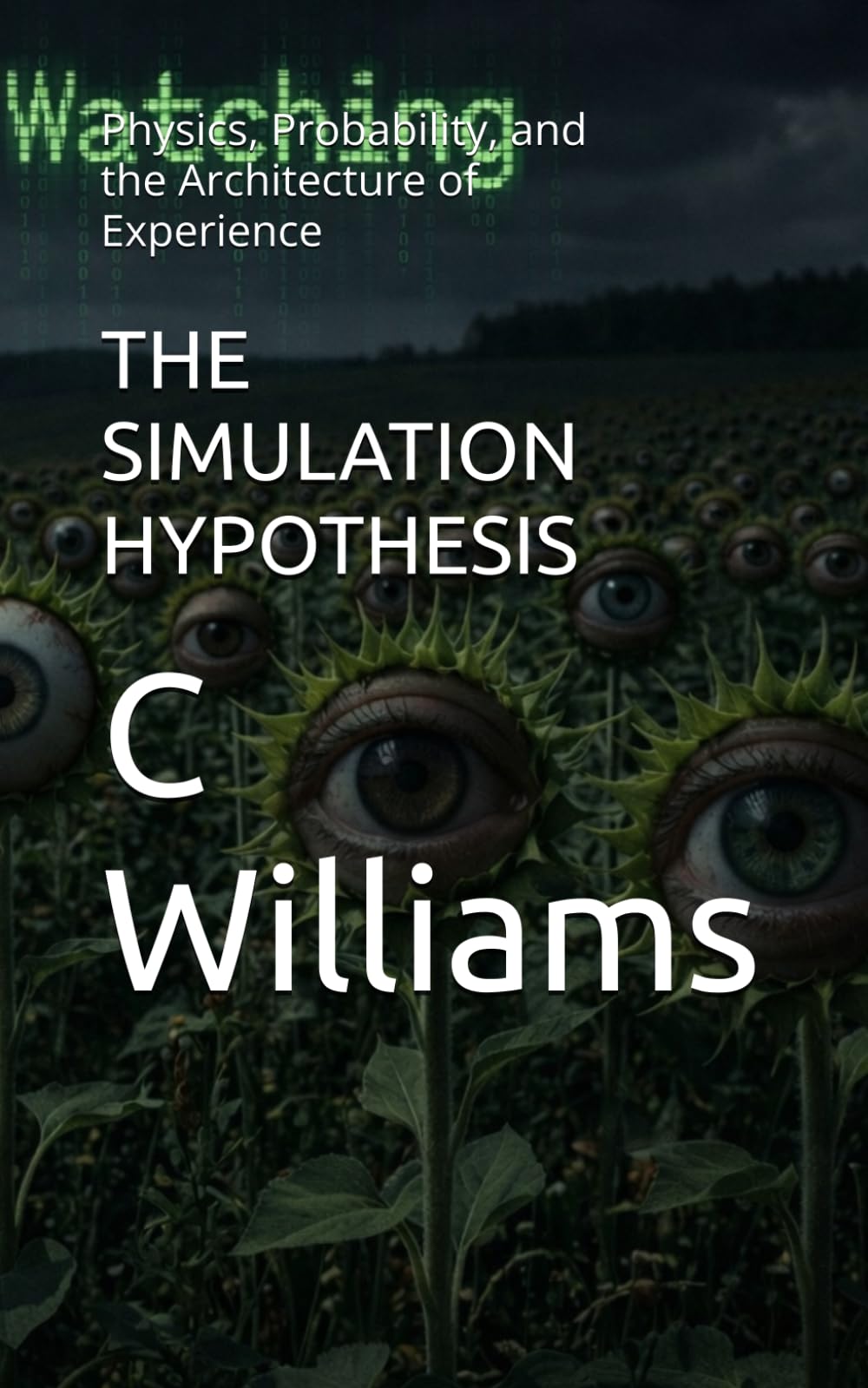 THE SIMULATION HYPOTHESIS: Physics, Probability, and the Architecture of Experience