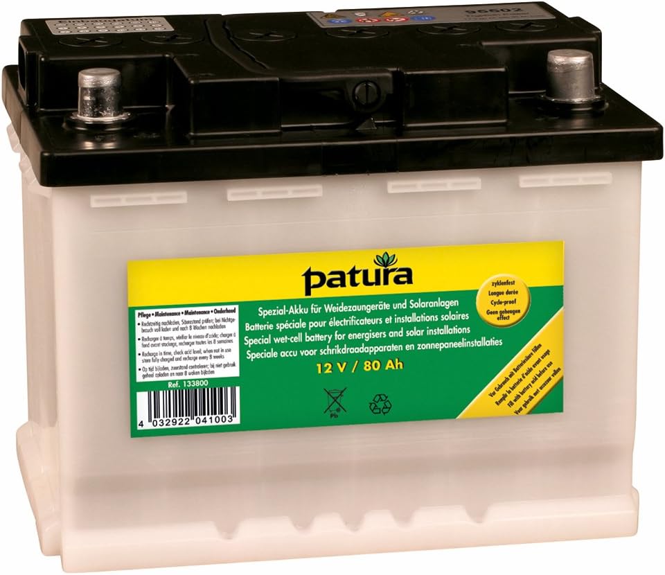 Patura Wet-Cell Battery, 100Ah