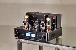 Willsenton R800i 300B Tube Integrated Amp