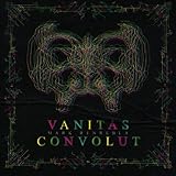 convolution neural network  Vanitas Convolut
