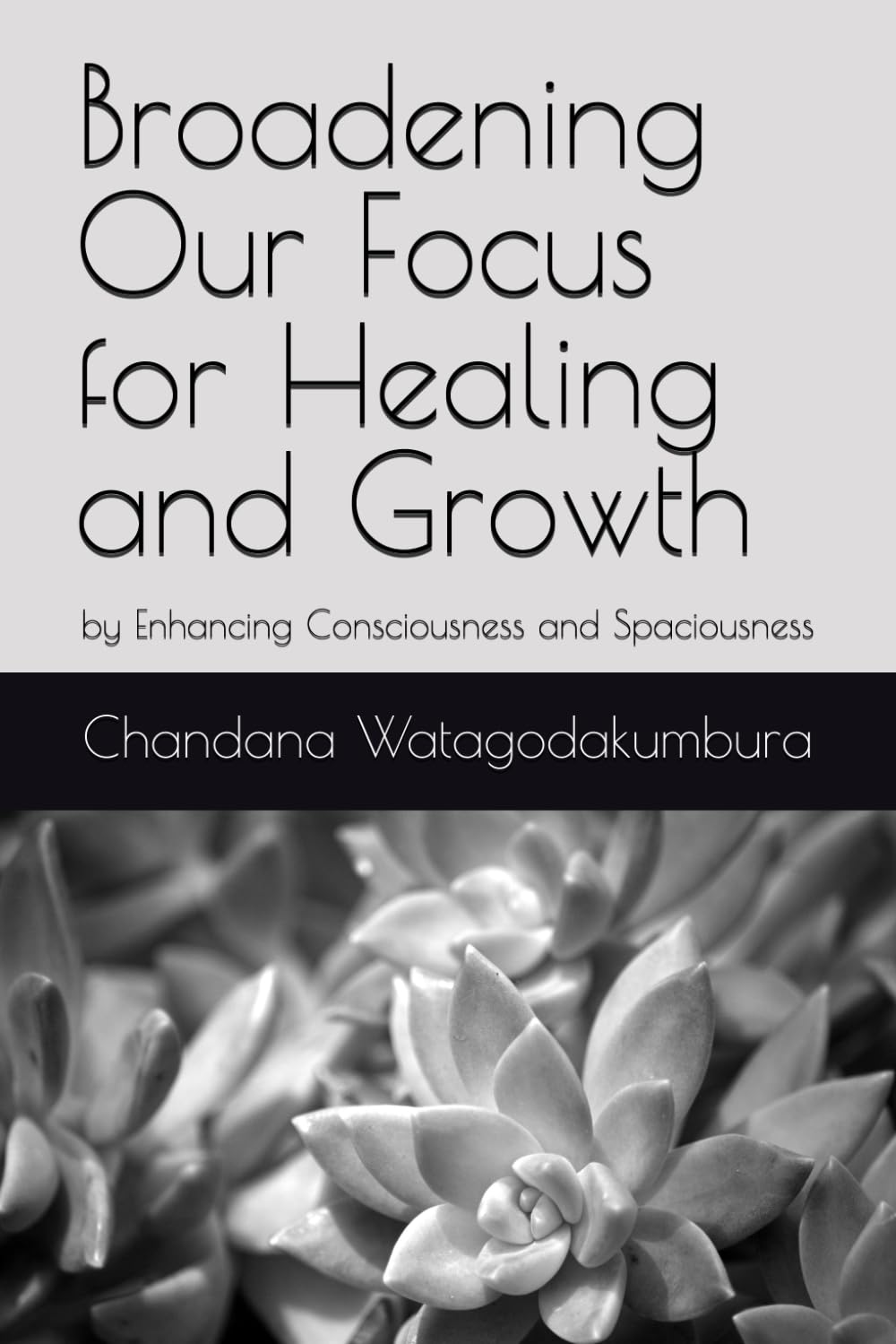 Broadening Our Focus for Healing and Growth: by Enhancing Consciousness and Spaciousness