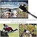 Famgee Portable Retractable Stainless Steel Golf Ball Retriever Telescopic Scoop Saver Pick Up Automatic Locking Shaft Tool Extended Length 9 Ft