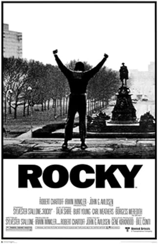 Póster Stop Online Rocky - Póster de película postura de victoria tamaño 240 x 358in