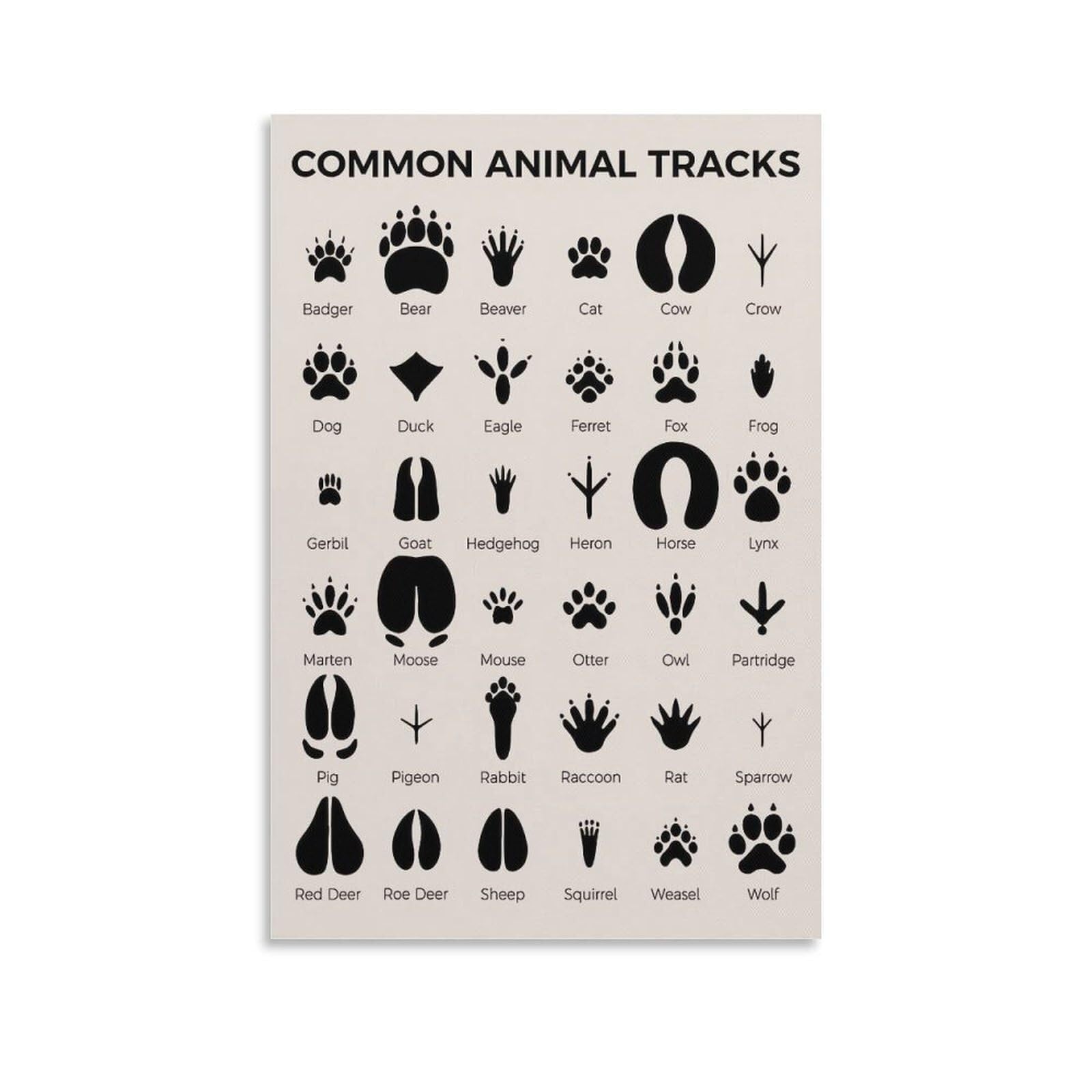 NWPNLXEA Animal Footprints Identification Poster - Educational Tracks Chart for Wildlife Study, Classroom and Home Decor Unframed,16x24inch(40x60cm)