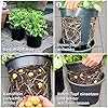Gärtner Pötschke KartoffelPflanztopf PotatoPot® PLANTER Modern