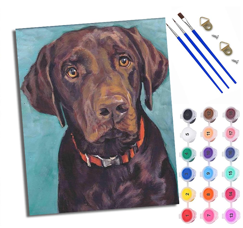 WXRWANG Paint by Numbers for Adults and Beginner Chocolate Labrador Retriever Painting by Number Kits On Canvas Without Frame DIY Color Oil Painting Acrylic Paints Home Wall Decor 40x50cm/16x20in