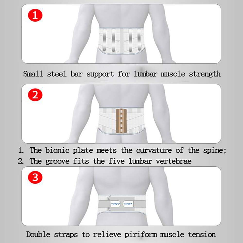 Faja Lumbar Fitness - Entrenador Abdominal - Tratamiento de la tensión Muscular Lumbar - con Almohadilla Lumbar extraíble - Terapia magnética médica,L