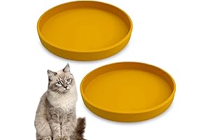 Shallow Dog Food Bowl with Anti-Slip Design