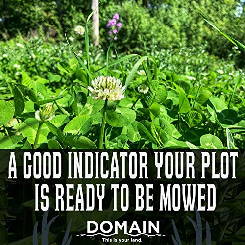 Domain Outdoor Hot Chic Food Plot Seeds For Deer, Chicory - 2 Varieties Of Clover, Great To Plant In Spring Or Fall, Hardy Mixture Of Ph Tolerant Perennials, Can Last Several Years, 1/2 Acre #TOP5