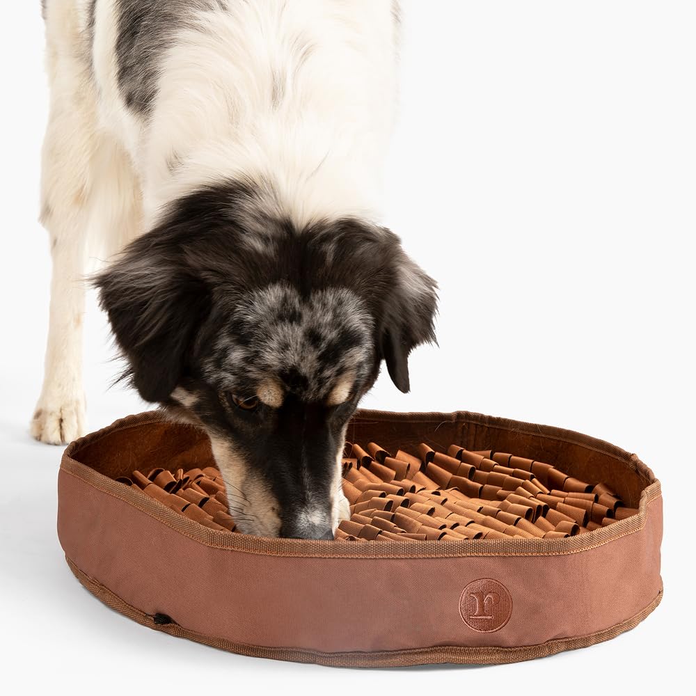 Reggie Tapete estimulante para perros | Alivia la velocidad de alimentación, el aburrimiento, el estrés | Aprobado por veterinarios e ideal para todas las edades, razas de perros y tamaños