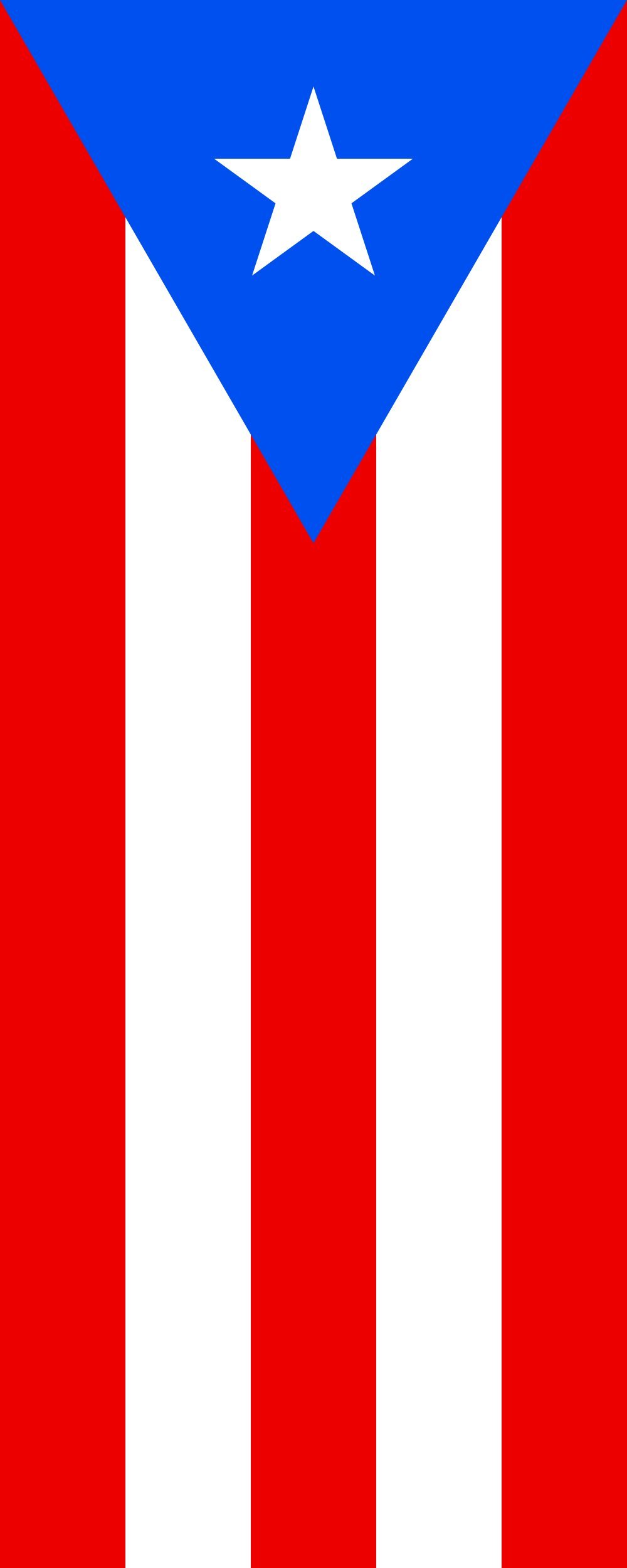 Drapeau Porto Rico portrait 300x120cm en tissu haute résistance 3.5m²
