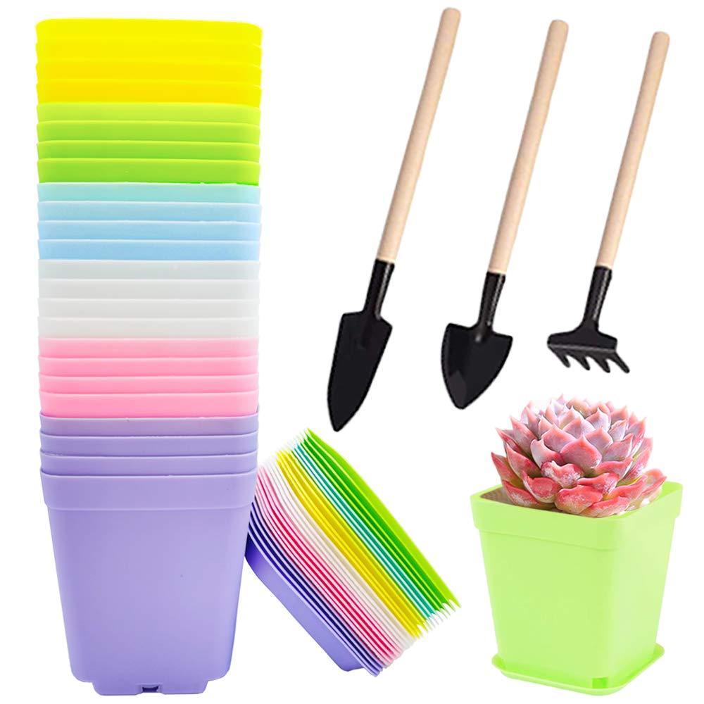 Cshangzei24 Pack 3 Inch Plastic Plant Pots,Seedling Nursery Pots with Saucers,Succulent Flower Planter Container for Garden,Room,Office,Balcony Decor,Multicolor