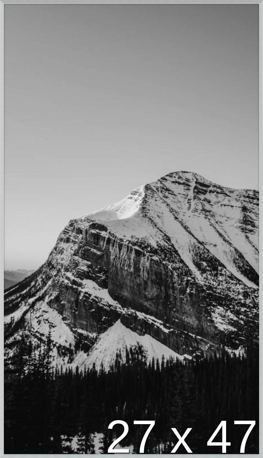 Frame It Easy 27 x 47 Satin Silver Metal Frame (Ashford)