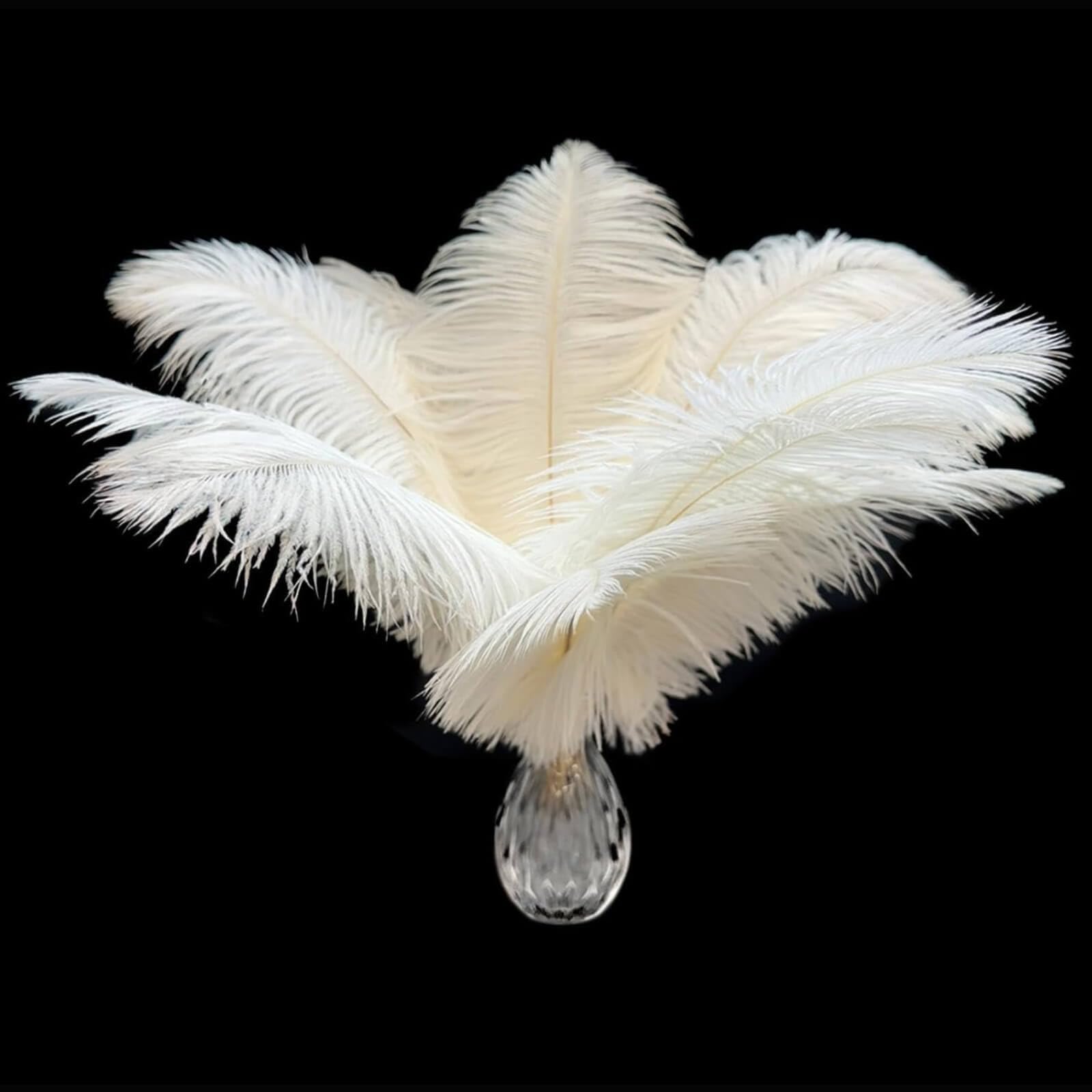 Piokio 20 pcs Natural White Natural Ostrich Feathers Plumes 8-10 inch(20-25 cm) Bulk for DIY Clothes, Feather Pens, Dream Catcher, Gatsby Decorations