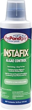 The Pond Guy InstaFix Algae Control Liquid Algaecide, 16 Ounce
