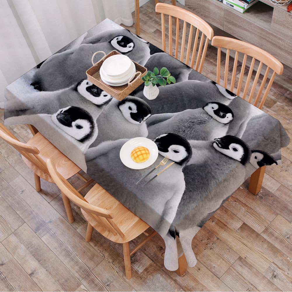Dalexhm Emperor Penguin With Children The Antarctic. - A7 Table Cloth Wipe Clean Rectangular, Wipeable Tablecloths,Dining Table Cover For Kitchen Outdoor Garden Table,Emperor Penguin With Children The Antarctic.,54X72 In