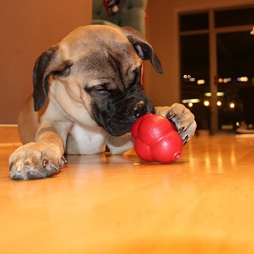 Miniatura 4 de Titan Busy Bounce, juguete para perros dispensador de golosinas resistente y duradero con rebote impredecible, paquete de 2 grandes, fabricado en