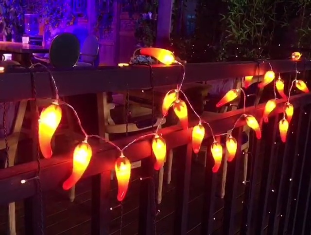 Amazon.com: Artificial Red Chili String Light Twinkle 20LED Pepper