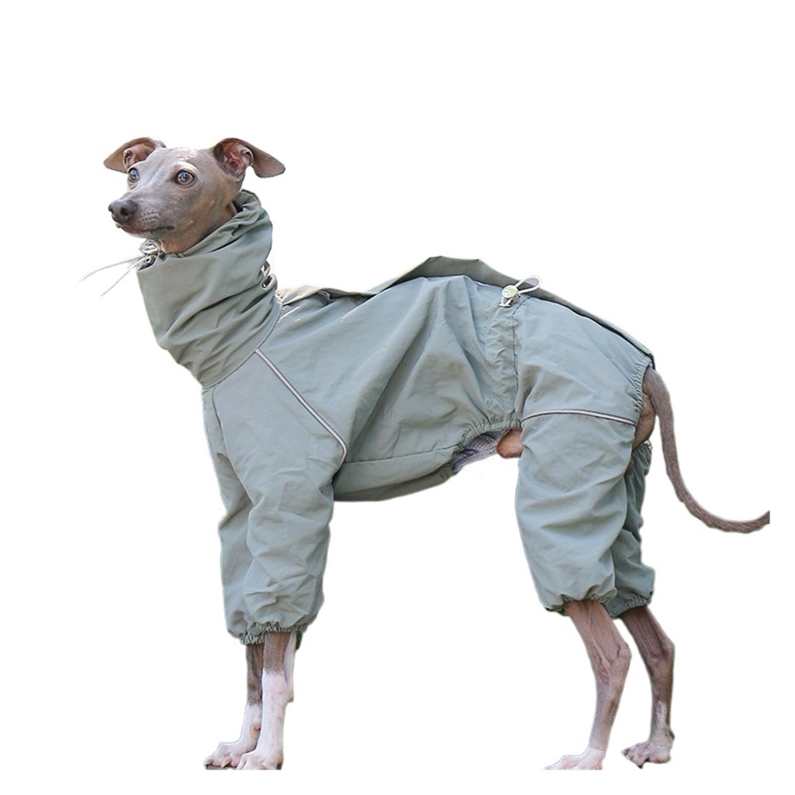 Manteau imperméable pour lévrier italien avec veste fermeture éclair whippet col réglable 01