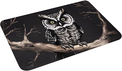 Miniatura 4 de Late Night Owl Indoor Doormat Washable Welcome Mats Non Slip Entryway Floor Mat Floor Outdoor Indoor Rug for Home Entrance, Outside Entry, Yard 23.6