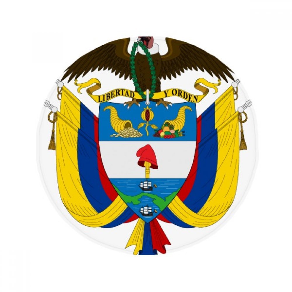 Tapis de sol Colombie antidérapant fini les glissades tapis de cuisine et animaux 60cm