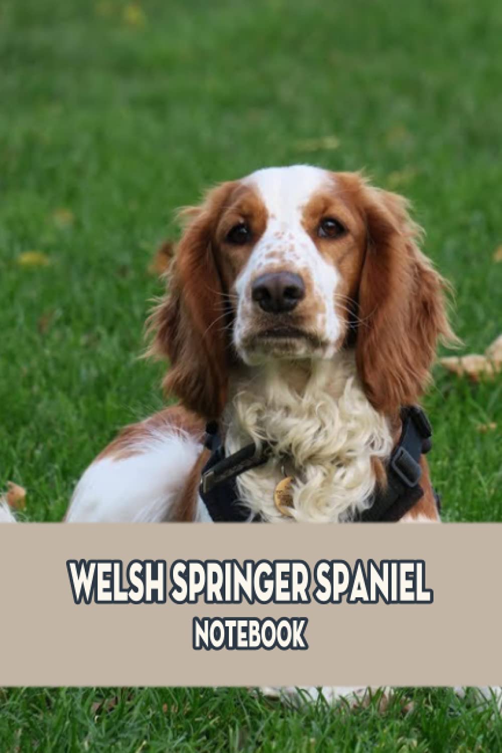 Welsh Springer Spaniel Notebook: Notebook|Journal| Diary/ Lined - Size 6x9 Inches 100 Pages