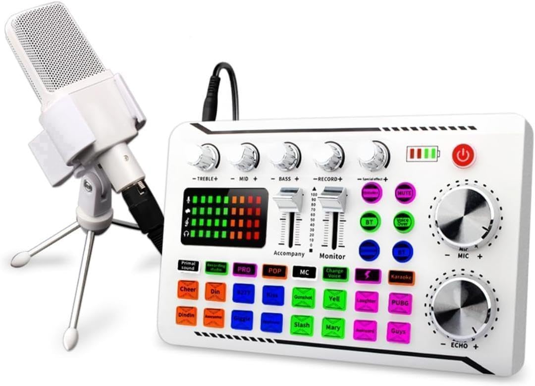 【M2215-80-55】カラオケマイク セット家庭用 DJ ミキサー セット M2215-80-55カラオケマイク セット家庭用 DJ ミキサー セット