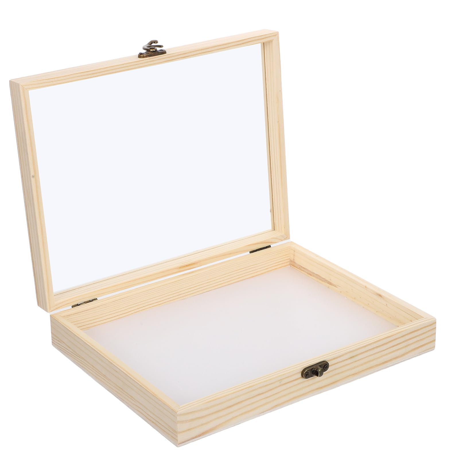 Toyvian Gabbia per Farfalle, Teca Espositiva per Insetti, Cornice in Legno