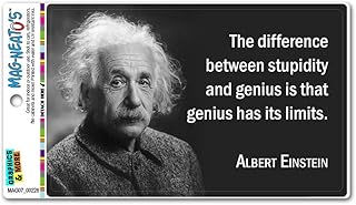 GRAPHICS & MORE Stupidity Genius Has Limits Einstein - Funny Automotive Car Refrigerator Locker Vinyl Magnet