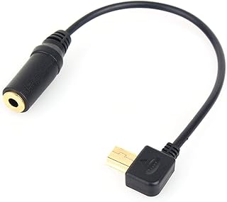 Amazon Co Jp ゴープロ マイクアダプター