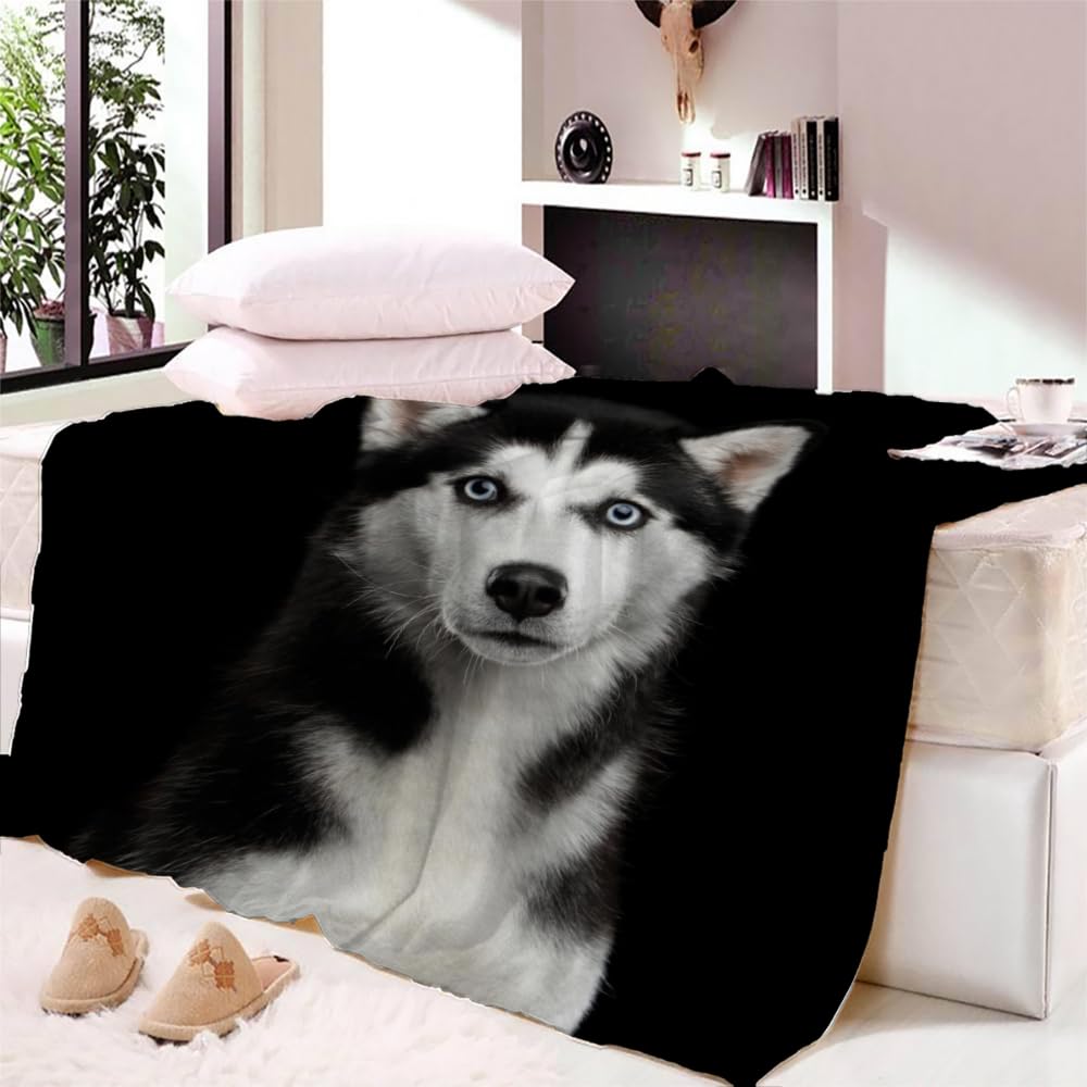 Douce Flanelle Couverture Polaire 3D Chien Husky Microfibre Fluffy Couverture de literie 2 Personne Chien Animal Compagnie Enfant Adultes Fille Garcon Sherpa Couverture de canapé 150x200cm