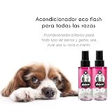 Ver la foto 2
