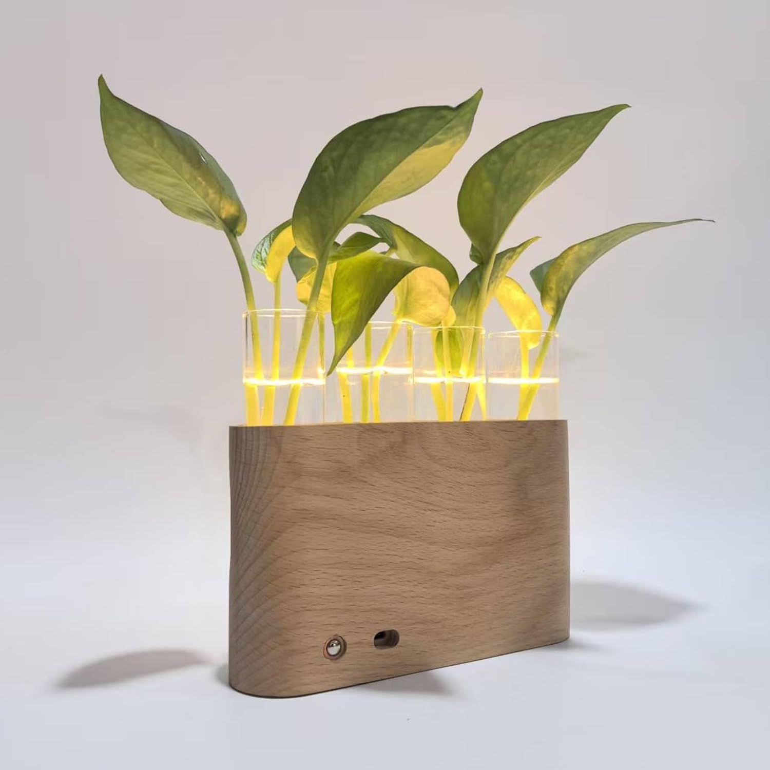 Propagation Vase | Home Decor Flower Terrarium,Glass Planter Vase for Hydroponic Plants - for Men Women Youth Teens Seniors Bedroom Bathroom Dormitory Home